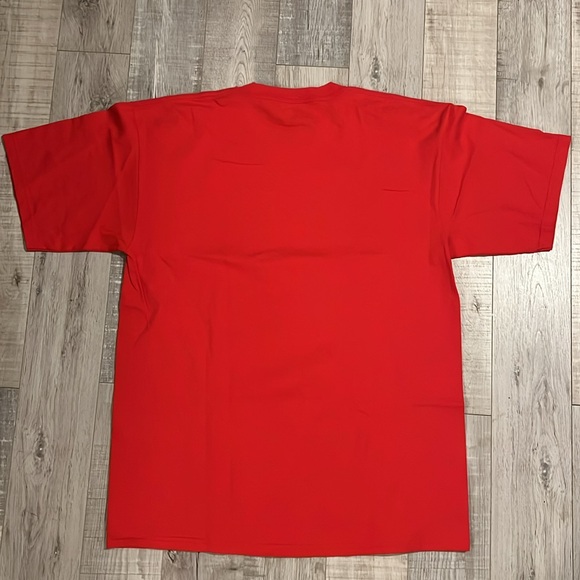 St. Louis Cardinals Post Season 2011 Rally Squirrel - Picture 6 of 6